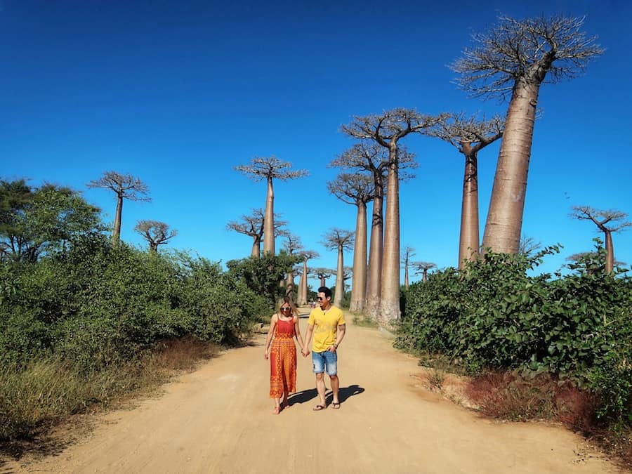 Feature image for Is Madagascar Worth Visiting post on Life Of Y. Images shows Jeff and Zuzi walking down a dirt road with tall baobab trees either side.