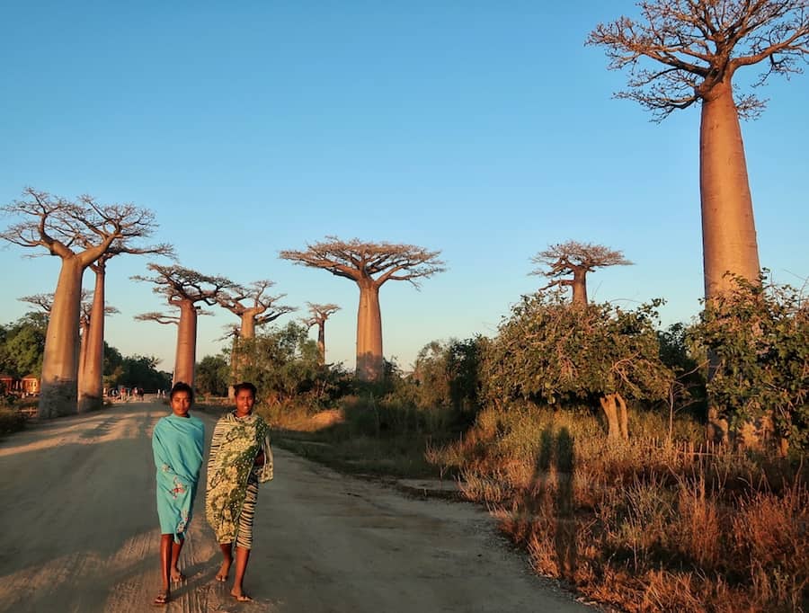 Two local girls, Wrapped in colourful clothing, walk down the Avenue of the Baobabs.