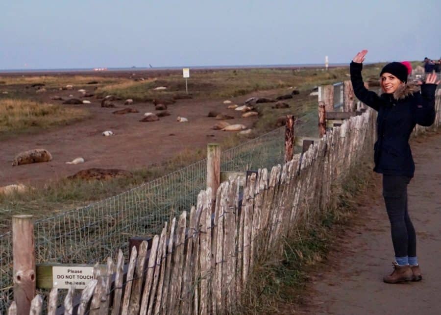 Zuzana, with her hands up, is watching the seals from behind the fence at Donna Nook