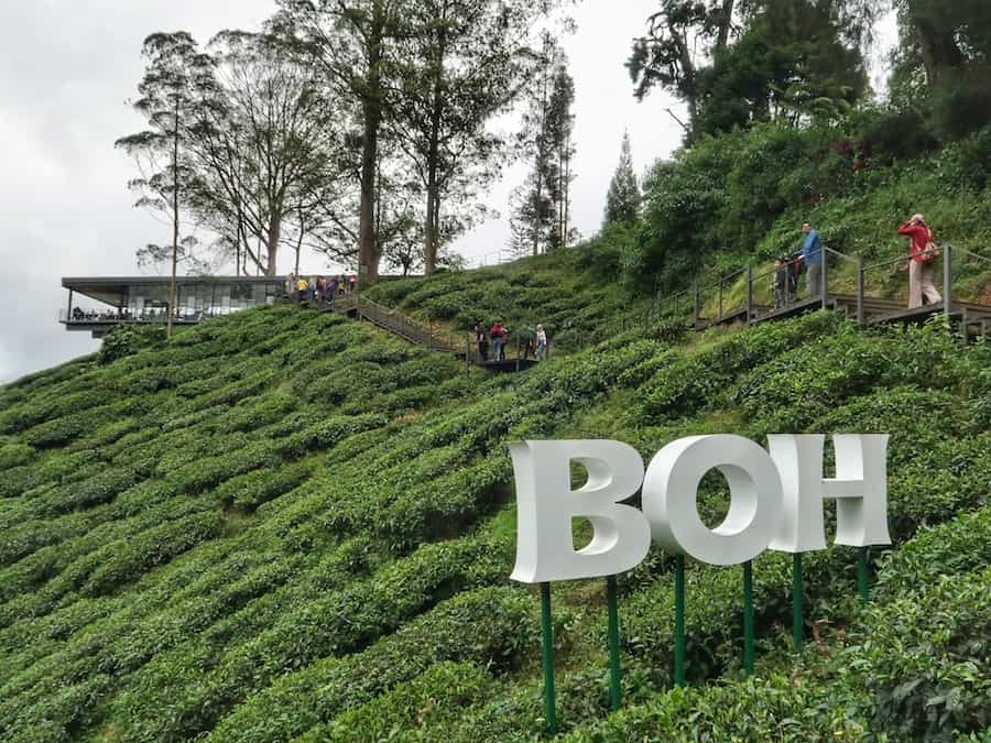 Image of the BOH tea gardens - a cafe sitting on the edge of a plantation with BOH sign at the front