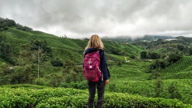 Cameron Highlands tour cover image where Zuzi stands in front of a tea plantation
