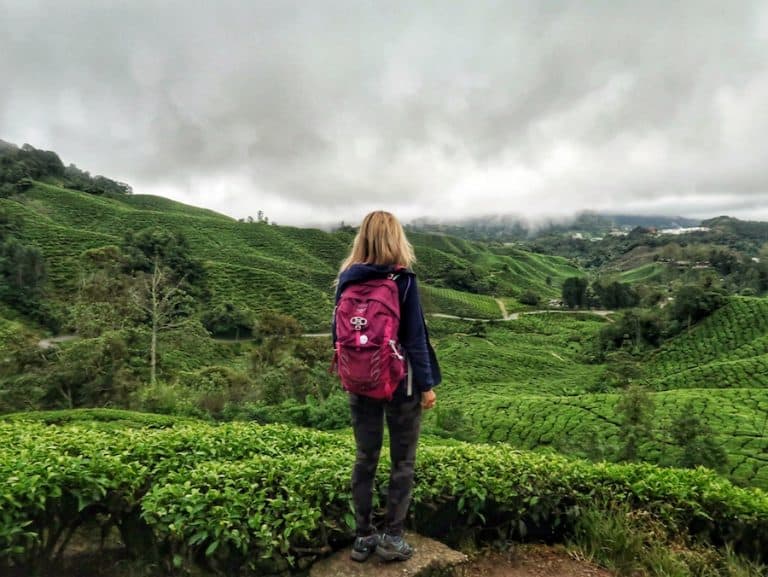 What To Expect On A Cameron Highlands Tour | Malaysia