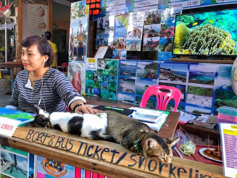 A tourist information booking centre counter where two cats are sleeping.