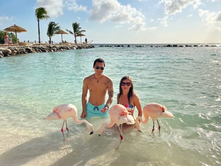 Cover image for How to Visit Flamingo Beach Aruba - Jeff and Zuzi are in the water with three flamingos on Flamingo Beach