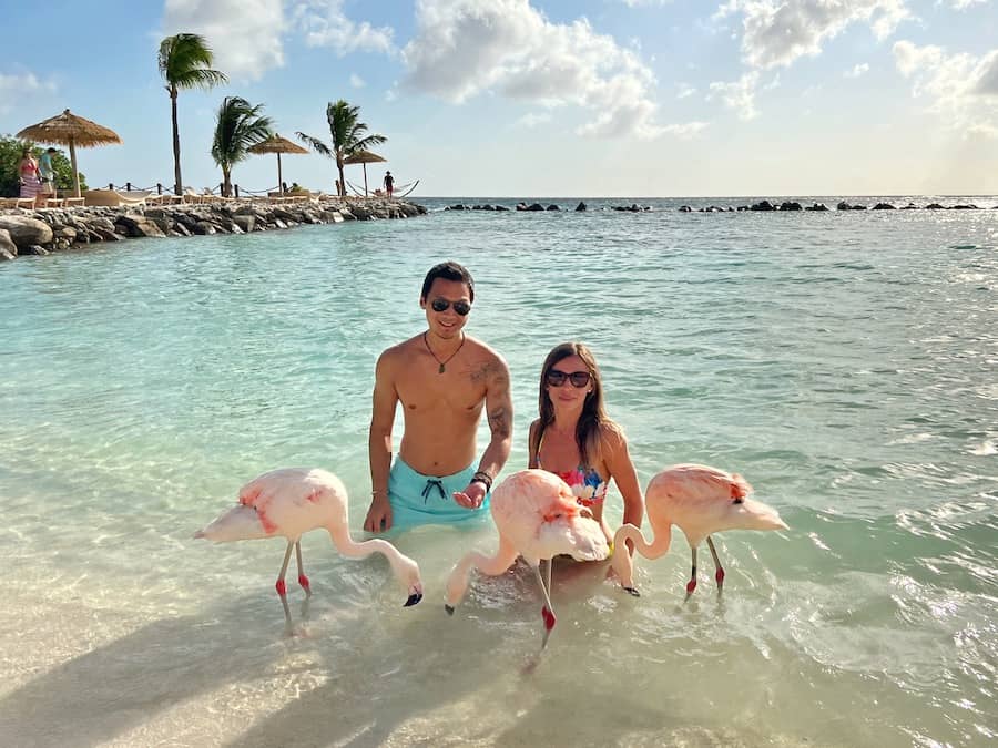 Image used for the many unique places to stay in Aruba section for the Where To Stay In Aruba post. Jeff and Zuzi are in the water with three flamingos on Flamingo Beach. 