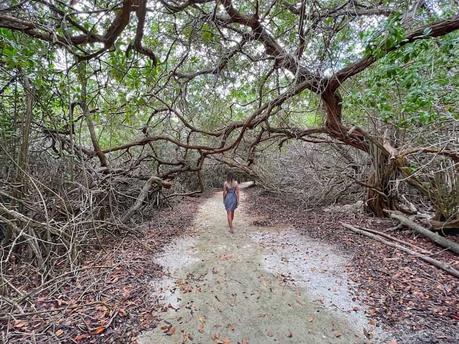 Image of Zuzi walking through the nature trail on Renaissance Island