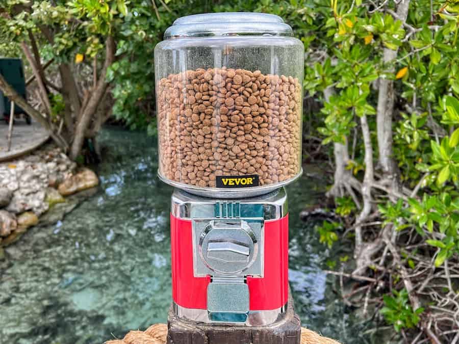 Image of the red food dispenser for the flamingos on Flamingo Beach