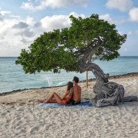 Cover for Amazing Things To Do In Aruba. Couple sit under a tree on the beach in Aruba