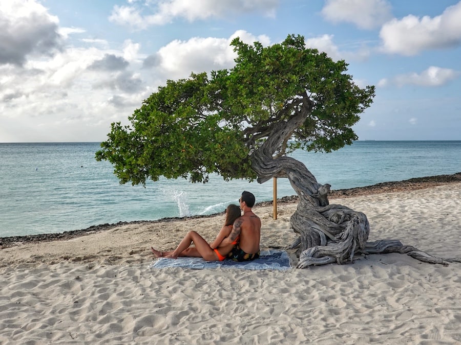 Couple sit under a tree on the beach in Aruba