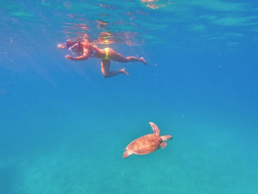 Zuzi is snorkelling in the sea and a green turtle is swimming under her.