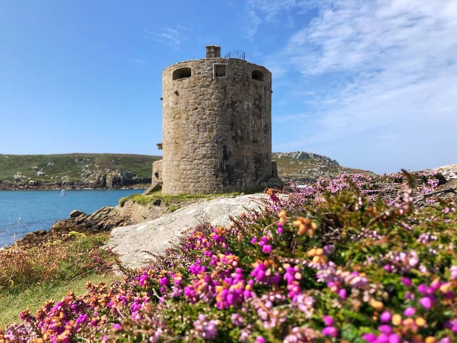 An old fort stands in the background on Tresco Island while bright purple flowers cover the foreground