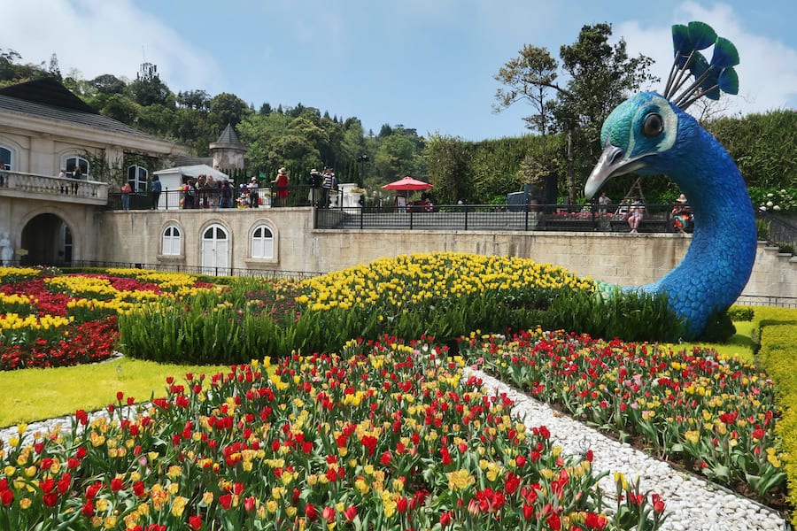 Image of the flower garden at Ba Na Hills Vietnam where a huge model of a peacock towers over green, red and yellow flowers