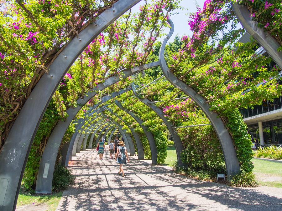 Shaded pathway surrounded by lush greenery