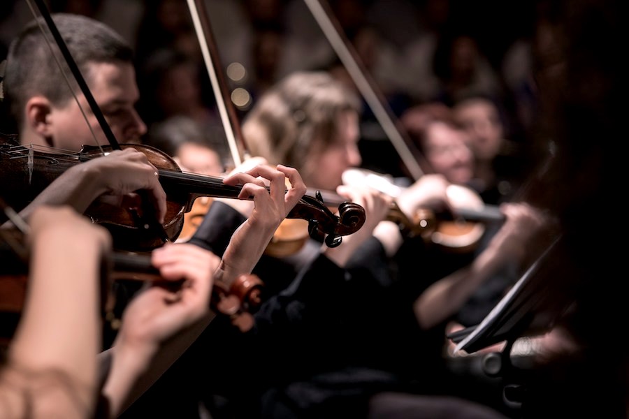 A line of violinists and their violins playing at a concert