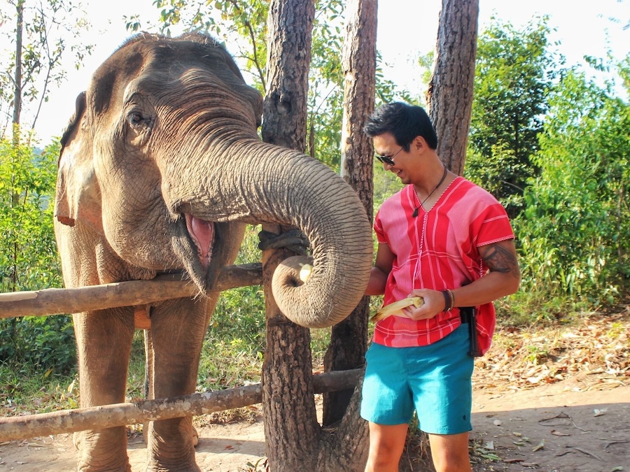 Cover image for Life of Y Travel Planning. Jeff is wearing a tradition Thai village pink top and feeding an elephant