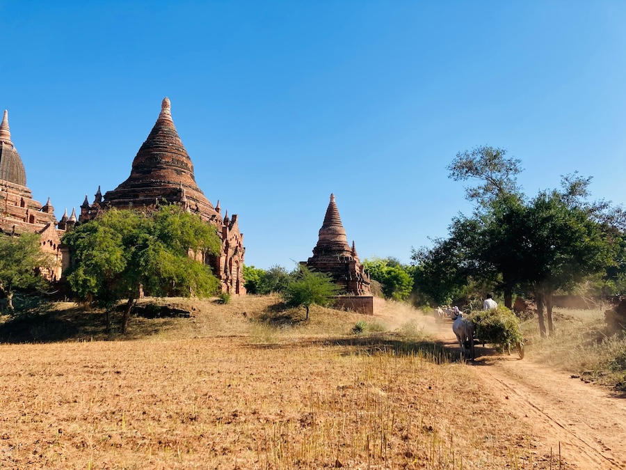 Dusty road winding between temples in Bagan with a cart passing through