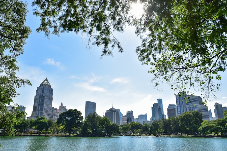 Lumpini Park with Bangkok skyline in the background