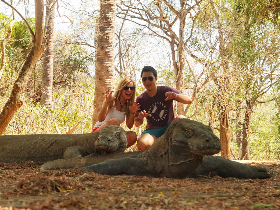 Komodo dragons in Komodo National Park near Labuan Bajo, Indonesia